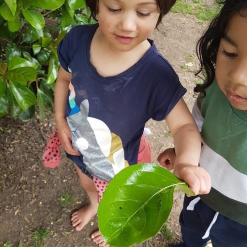 Girls with leaf ladybug